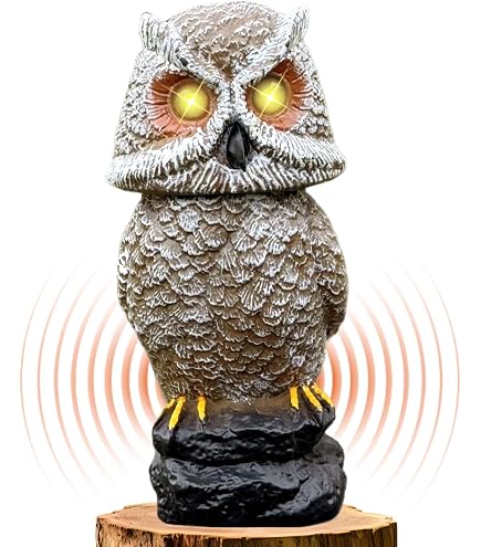 Amazon.com : Owlery Brown Solar Owl with Motion Detector, Flashing