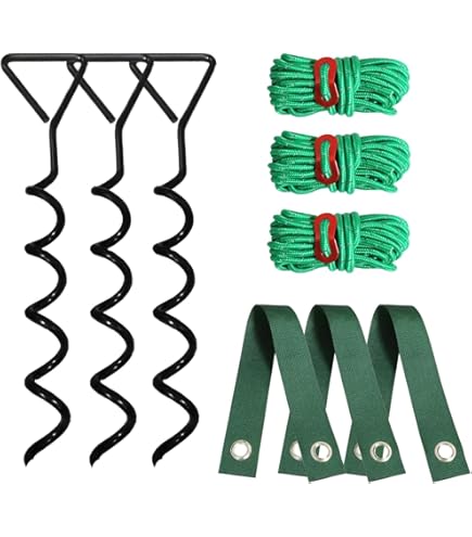 Cartes et jetons de casino