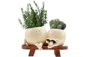 Resin Smiling Face Planter Pot, Face Flower Pot Head Planter with Drainage Hole, Cute Unique Sit Chair Succulent Pots, Modern
