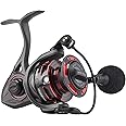 Penn Clash II Spinning Reel - Lightweight Saltwater Shore and Kayak Fishing Reel for Lure Fishing - Sea Fishing Reel for Bass, Pollack, Cod, Wrasse