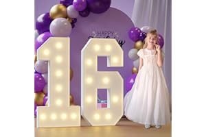 Rielmox Marquee Numbers, 4FT Number 16 Light Up Number, Marquee Numbers 4 Feet Tall for Birthday Decorations Party Decor White Large Anniversary Decoration for Boys Girls Men Women