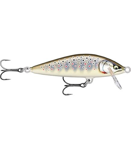 Amazon.com : Rapala Countdown Elite 75 Gilded Brown Trout : Sports