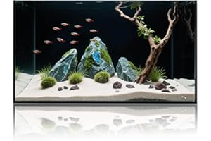 WONDERFACTORY 10 Gallon Glass Fish Tank, Aquarium Fish Bowl Cube for Betta Goldfish Snails Shrimp Aquatic Planting, Easy to Maintain Ultra Clear Rimless Dark Background Low Iron