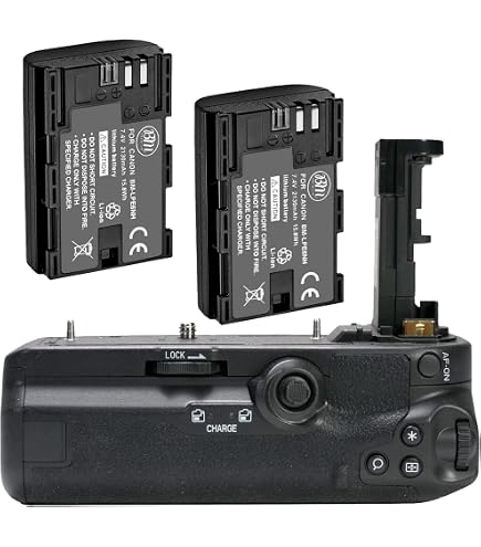 Amazon.com : Canon BG-E21 Battery Grip for EOS 6D Mark II