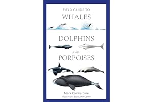 Field Guide to Whales, Dolphins and Porpoises (Bloomsbury Naturalist)