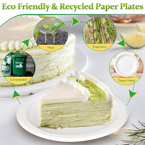 Greconv inch Paper Plates 100 Pack, Compostable, Small White Plates for  Dessert, Cake, Appetizer