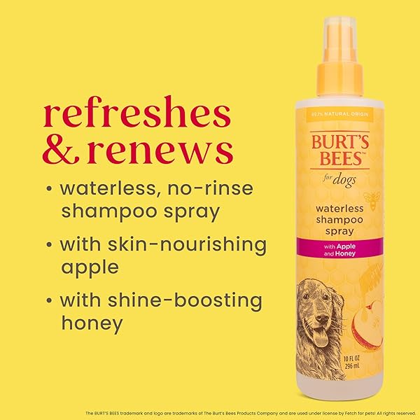BURT’S BEES FOR PETS WATERLESS SHAMPOO SPRAY FOR DOGS WITH APPLE AND HONEY, 99.1% NATURAL ORIGIN FORMULAS, WATERLESS DOG SHAMPOO – GENTLE DRY SHAMPOO FOR DOGS, BEST DOG SHAMPOO, 10 OZ