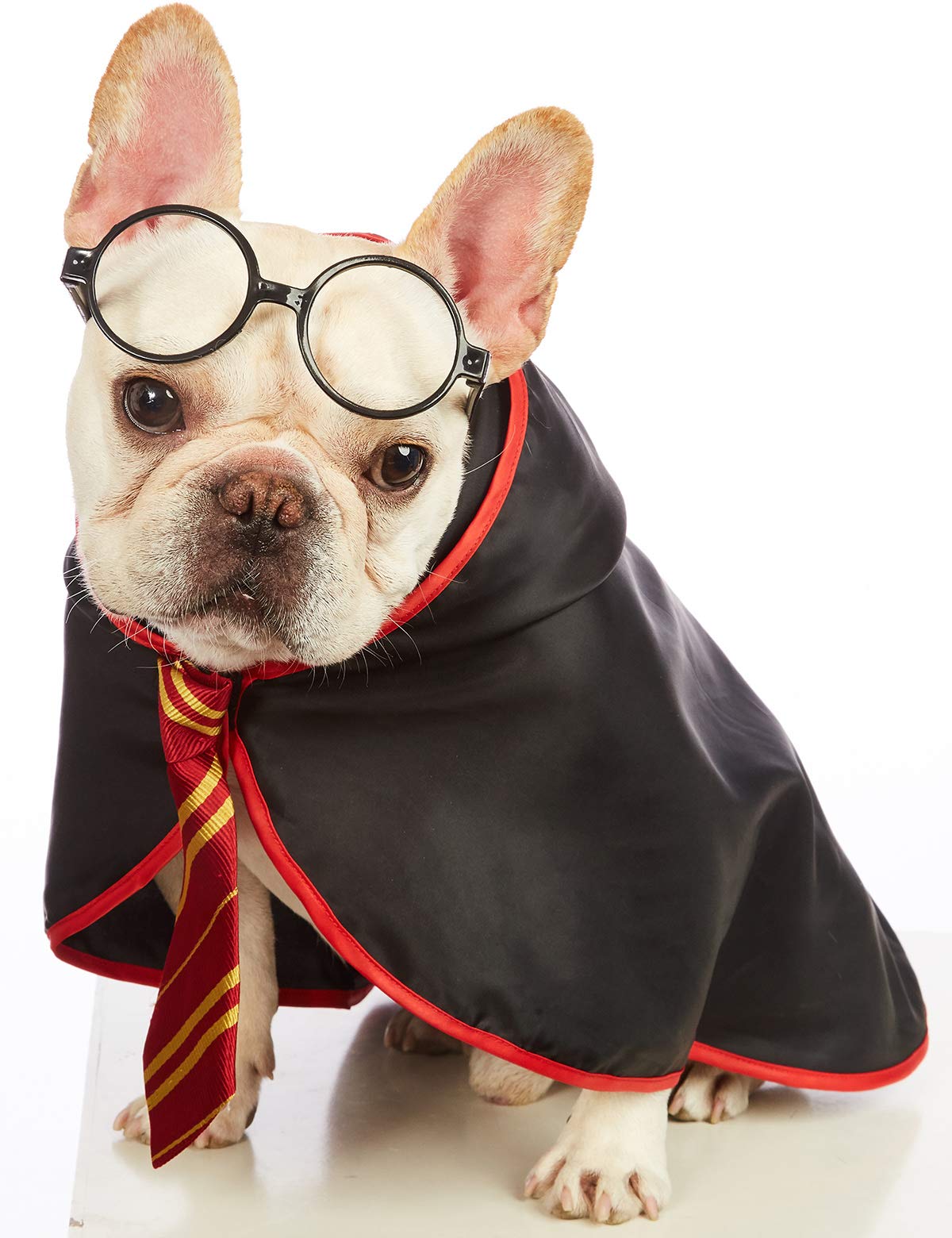 Impoosy Pet Halloween Dog Hoodies Funny Cat Wizard Costume Cute Apparel Soft Shirts Clothes with Glasses (X-Large,Neck:21")