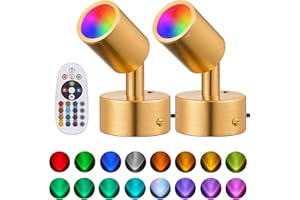 Delbarton 2 Pack LED Spot Lights Indoor Spot Lights Indoor Accent Lighting, RGBW Color Changing Up Remote Control Plant Spotlight Decorative