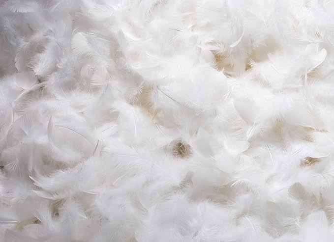 Amazon Com East Coast Bedding 25 75 White Goose Down Feather