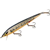 Smithwick Lures Floating Rattlin' Rogue Fishing Lure