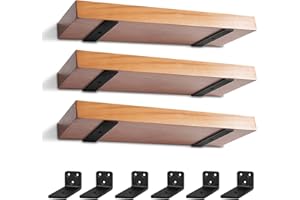 4 inch Floating Shelf Brackets, 6 Pack Heavy Duty L Shelves Brackets Wall Mounted Industrial Metal Brackets Hardware Supports