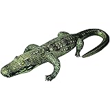 Jet Creations Inflatable Gator 49 inch Long Safari Great for Pool, Party Decoration, an-Gator