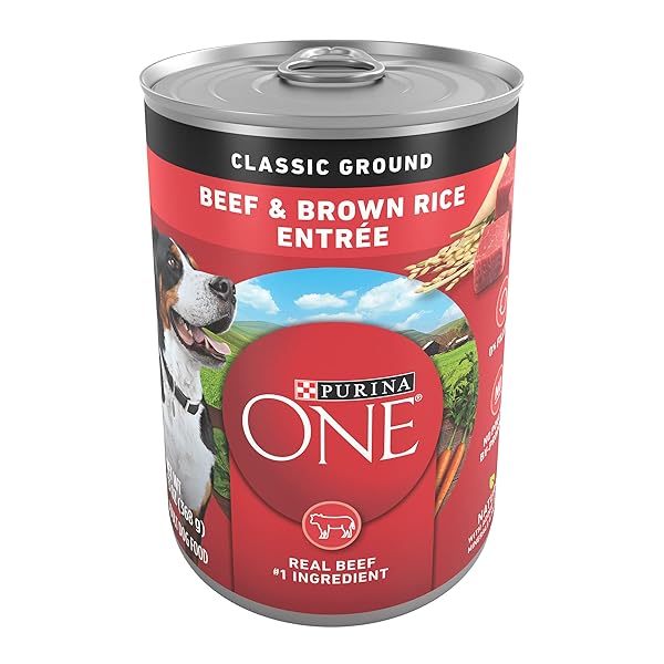 PURINA ONE CLASSIC GROUND BEEF AND BROWN RICE...