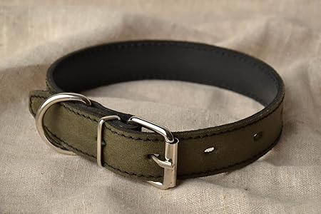 homemade leather dog collar