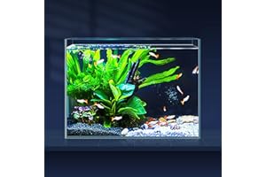 LAQUAL 3 Gallon Ultra Clear Glass Fish Tank, Rimless Low Iron Aquarium for Betta/Nano/Goldfish/Snail/Shrimp, Small Fish Tank with Fish Net & Cleaning Tools