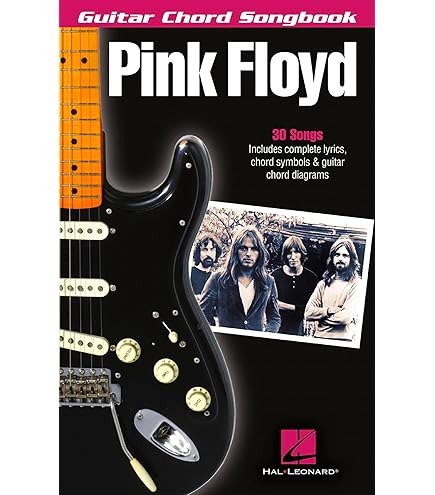 気まぐれ値下げ中！Pink Floyd LP5枚+LD 6枚セット Amazon.com: Pink Floyd Dark Side of the Moon Guitar Picks (Set of