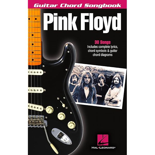 Amazon.com: Pink Floyd: Guitar Signature Licks by David Gilmour