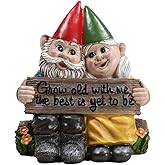 Ebros Whimsical Mr and Mrs Gnome Hobbit Couple Sitting On Garden Log Statue 6.25" Tall 'Grow Old with Me The Best is Yet to Be' Gnomes Home Decor Sculpture Figurine