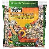 carefresh colorful creations