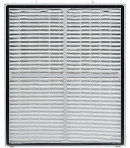 Amazon.com: HEPA Activated Carbon Filter 120540 120541 for