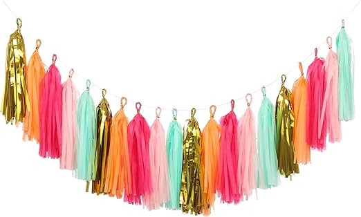 Amazon Com Ling S Moment 20 Pcs Diy Tissue Paper Tassel Banner