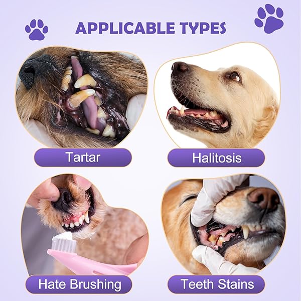 OUYOFI TEETH CLEANING FINGER WIPES FOR DOGS & CATS, REDUCES TARTAR & FRESHENS BREATH DENTAL WIPES，NATURAL MILD INGREDIENTS,DISPOSABLE DOG TEETH CLEANING WIPES,50PCS