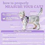 rabbitgoo Cat Harness and Lead Set XS Adjustable Escape Proof Purple view 2