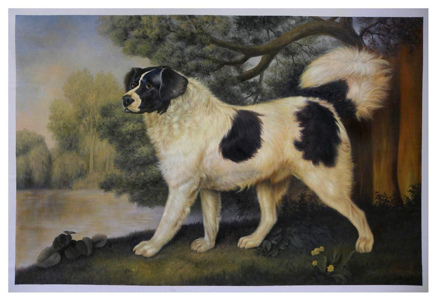 Amazon Com Portrait Of A Newfoundland Dog The Duke Of York George Stubbs High Quality Hand Painted Oil Painting Reproduction Big White Dog In Landscape Artwork Handmade