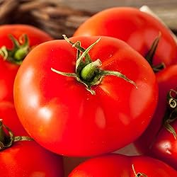Tomato Seeds - Beefmaster - Packet - Vegetable