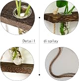 XXXFLOWER Wall Hanging Propagation Station with 15 Test Tubes view 3