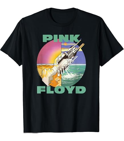 Amazon.com: Pink Floyd Wish You were HERE T-Shirt Small : Clothing