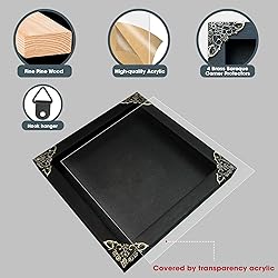 Real Brown Moth Butterfly Frame Insect Lover Black