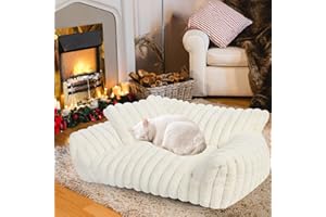 WN'S DAY Cat Couch Bed for Indoor Cats，Washable Dog Beds for Small Medium Dogs & Cats，Cute Cat Dog Bed Couch with Pillow，Fluffy Cat Sofa Pet Couch Supportive Cat Chair with Non-Slip Bottom，24x18x10inch(Cream)