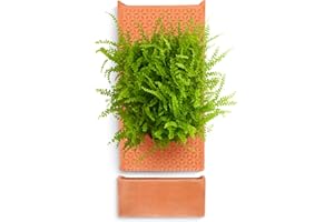 dadop Terracotta Self Watering Wall Pots for Indoor Plants, Hanging Planters for Indoor Plants Holder, Terra Cotta Pot Home Decor