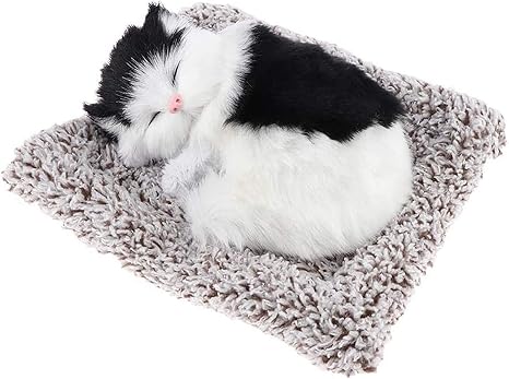 Images Na Ssl Images Amazon Com Images I 71qyhq