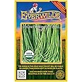Everwilde Farms - 20 Organic Yard Long Bean - Green Yard Long Bean Seeds - Gold Vault Packet