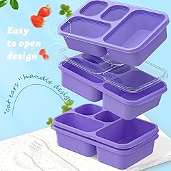 Bento Box for Adults and Snack Containers Set of 4
