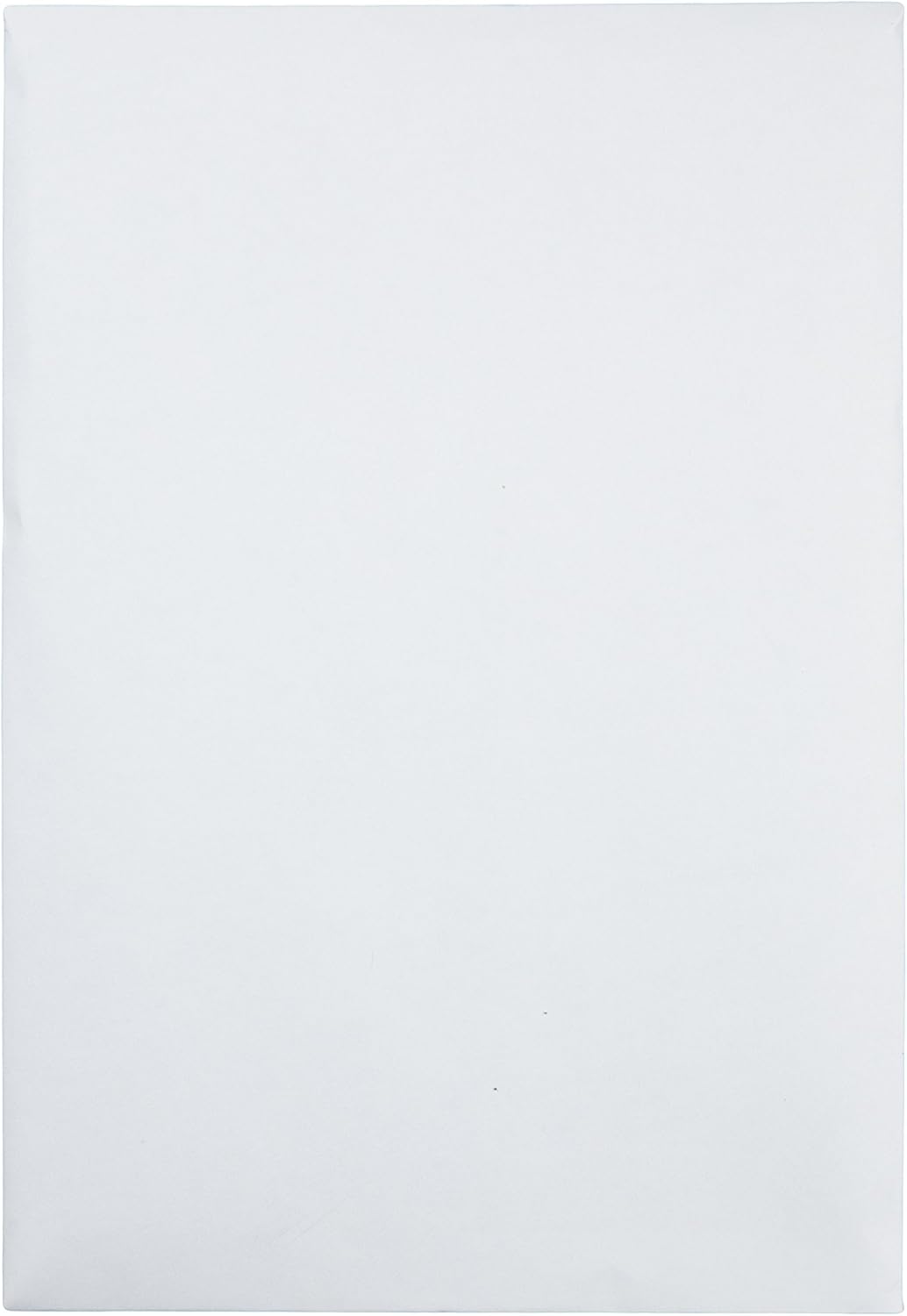 Quality Park Redi Strip Catalog Envelope, 6 1/2 x 9 1/2, White, 100/Box (44334) : Office Products