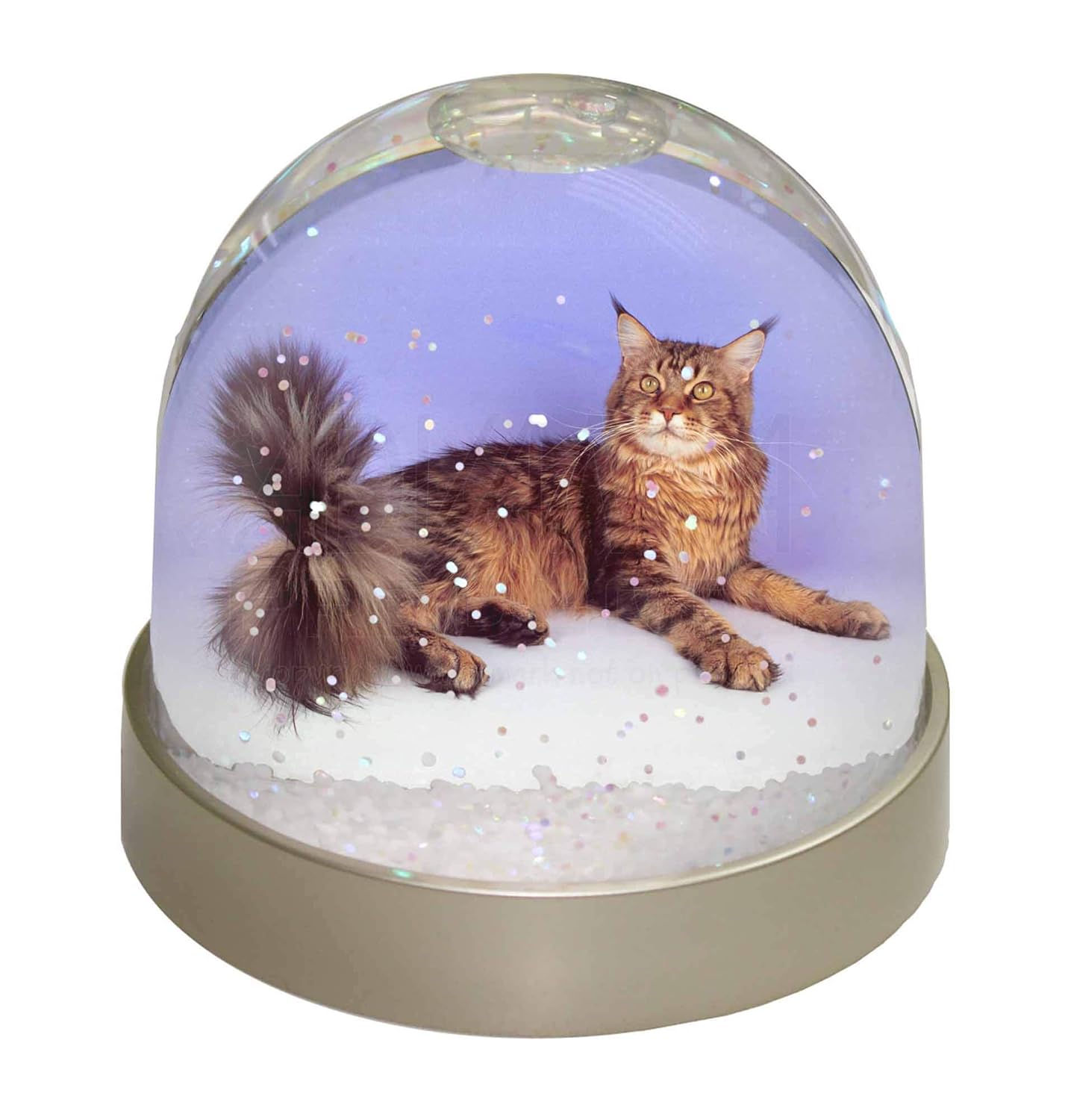 Advanta Group Tabby Maine Coon Cat Snow Dome Globe Waterball Gift, MultiColour, 9.2 x 9.2 x 8