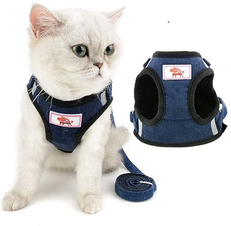 Zunea Ensemble Harnais Et Laisse Pour Chat Anti Fuite Reglable Reflechissant En Maille Souple Rembourree En Velours Cotele Pour Chats Chatons Chiots Et Petits Chiens Amazon Fr Animalerie