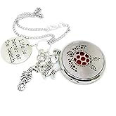 Sea Turtle Rear View Mirror Car Charm, Tortoise Diffuser Locket