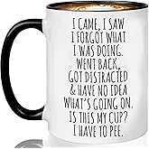 I Came I Saw I Forgot What I Was Doing Funny Humor Sarcastic Gifts for Old People Elderly Senior Citizens – Funny Birthday Gifts for him her, friends, dad mom, Grandma Grandpa 11oz Funny Coffee Mug