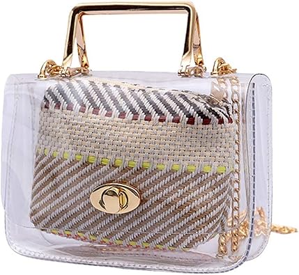 transparent designer handbags