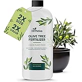Olive Tree Fertilizer for Lush Foliage &amp; Bountiful Harvests, 16oz | HiThrive 2-in-1 Liquid Plant Food, Rich in Macro &amp; Micronutrients, Makes 16 Gallons, Promotes Healthy Growth &amp; Plump Fruits