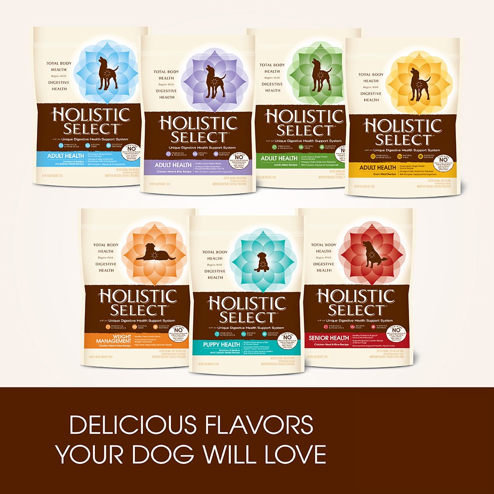 Honest Review Of Best Large Breed Puppy Food 2017