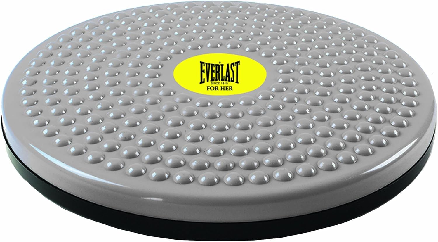 Everlast Twist Board for Fitness Exercise