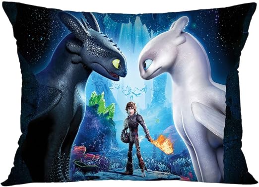 Amazon Com Macofcust How To Train Your Dragon Pillowcase Cartoon