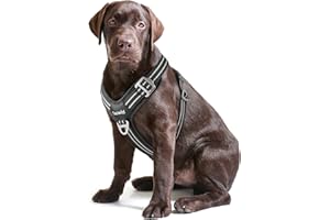 Tacwild No Pull Dog Harness - Adjustable Reflective Dog Vest with Metal Snap, Soft Breathable Mesh No Choke Puppy Harness, Easy to Put on & Take Off (Black-L)