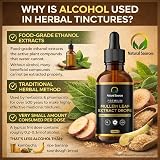 Natural Sources Mullein Leaf Extract 100ml UK Grown Tincture view 5